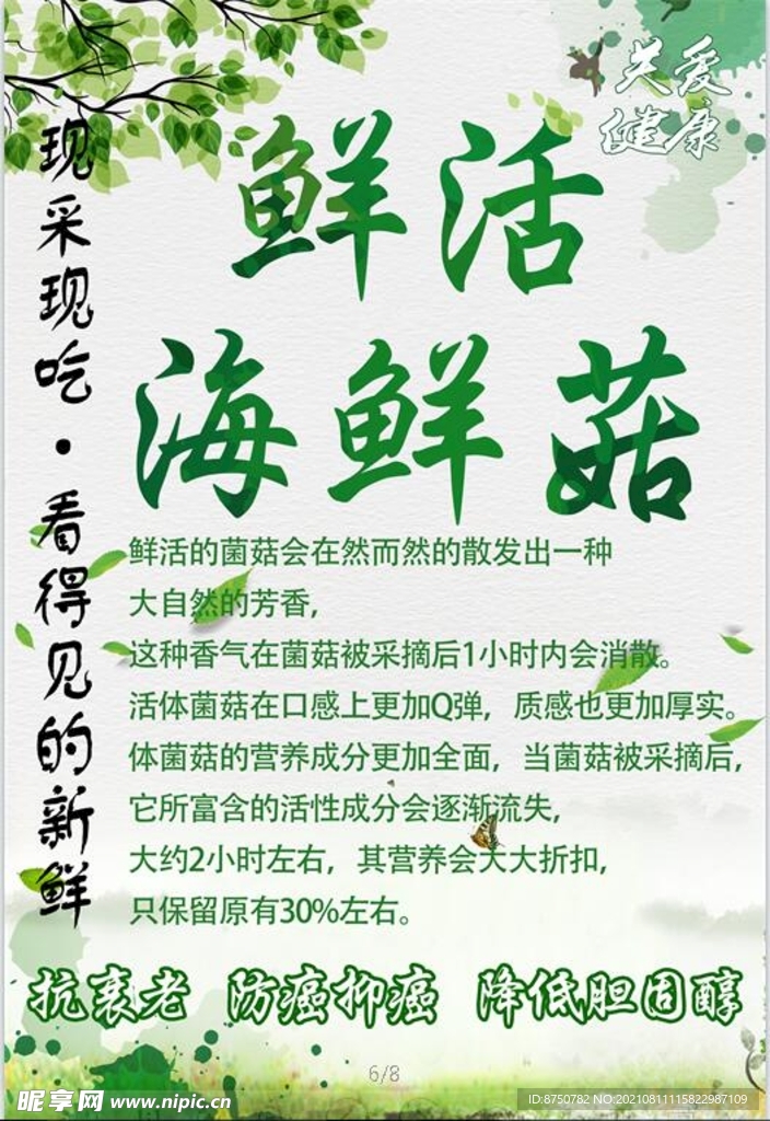 鲜活海鲜菇