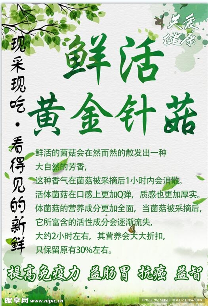 鲜活黄金针菇