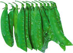 荷兰豆