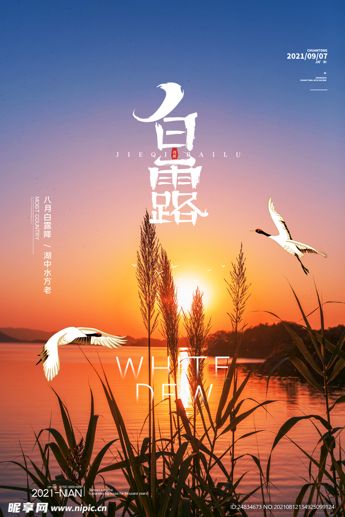 白露