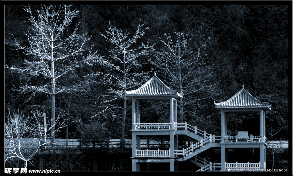 亭子与树