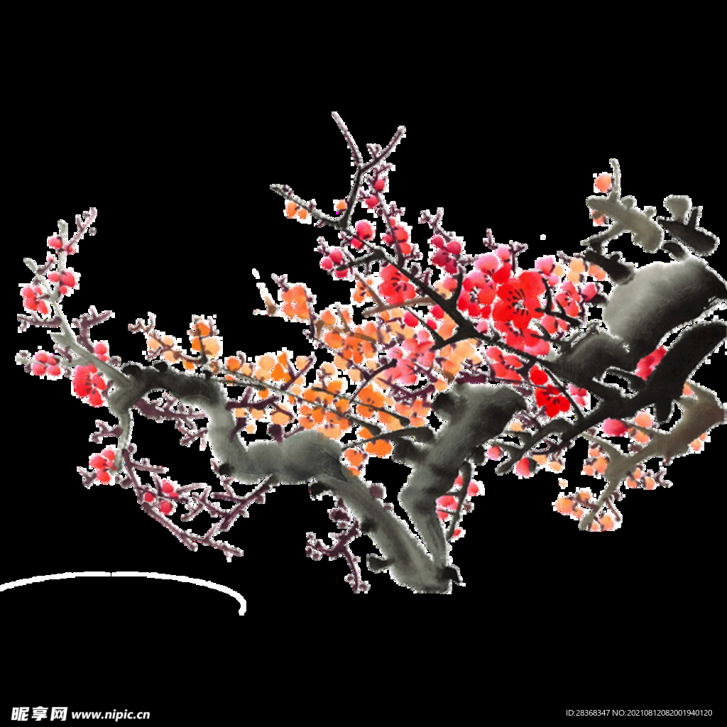 梅花素材 