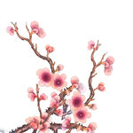 梅花素材