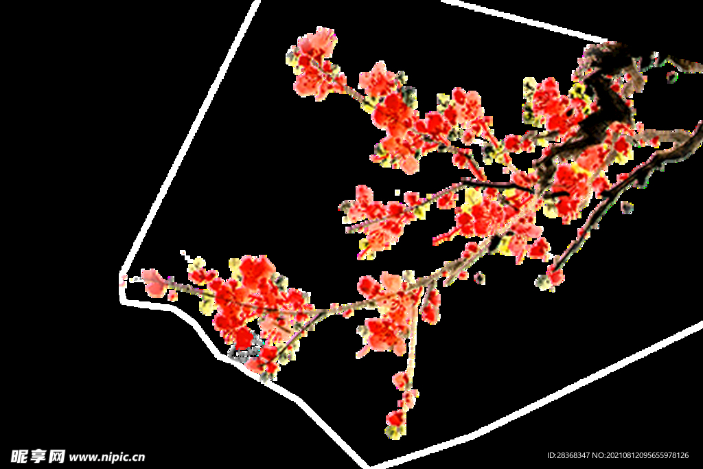梅花素材