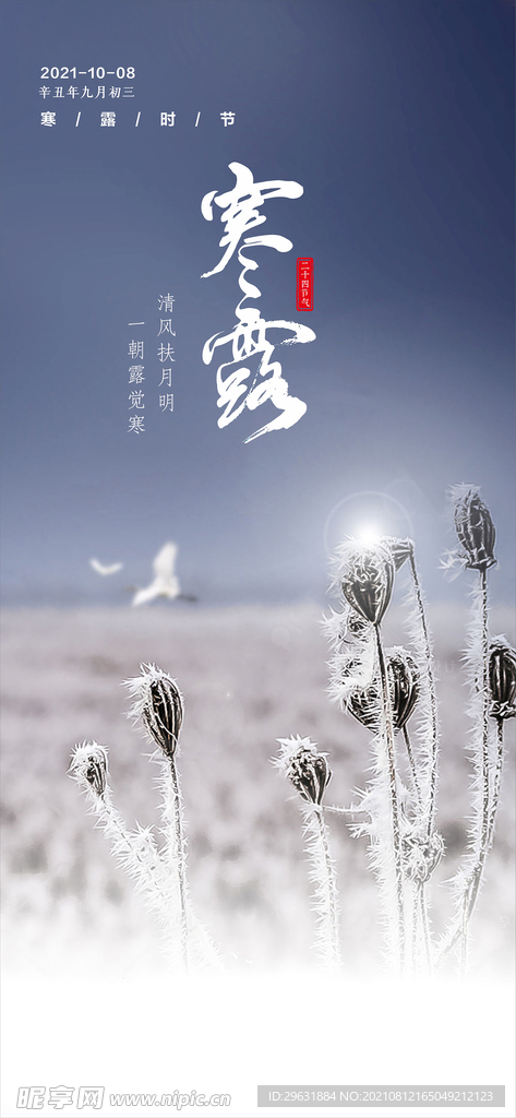寒露