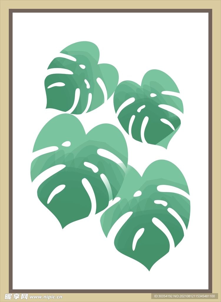 植物