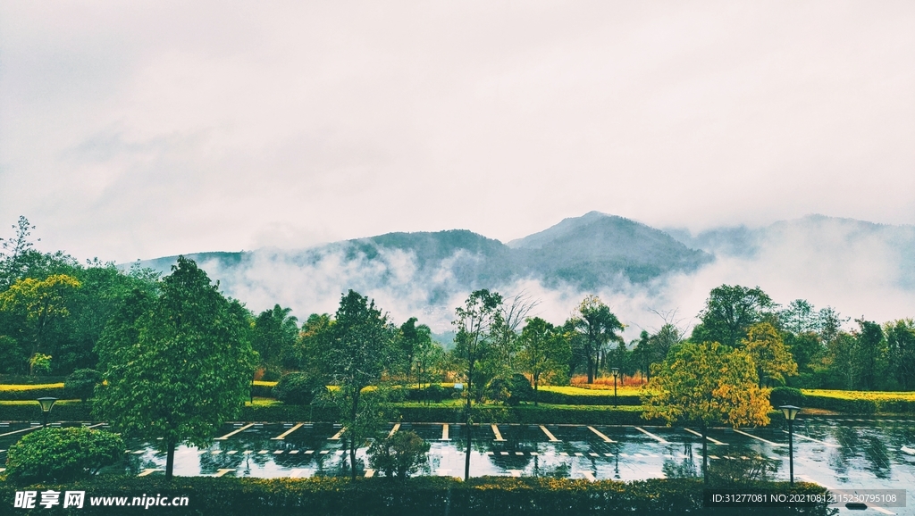 雨后美景