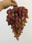葡萄