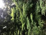街景日本东京街头风景