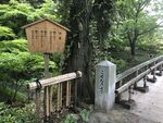 日本东京街头风景