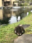 街景日本东京街头风景