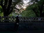 街景日本东京街头风景