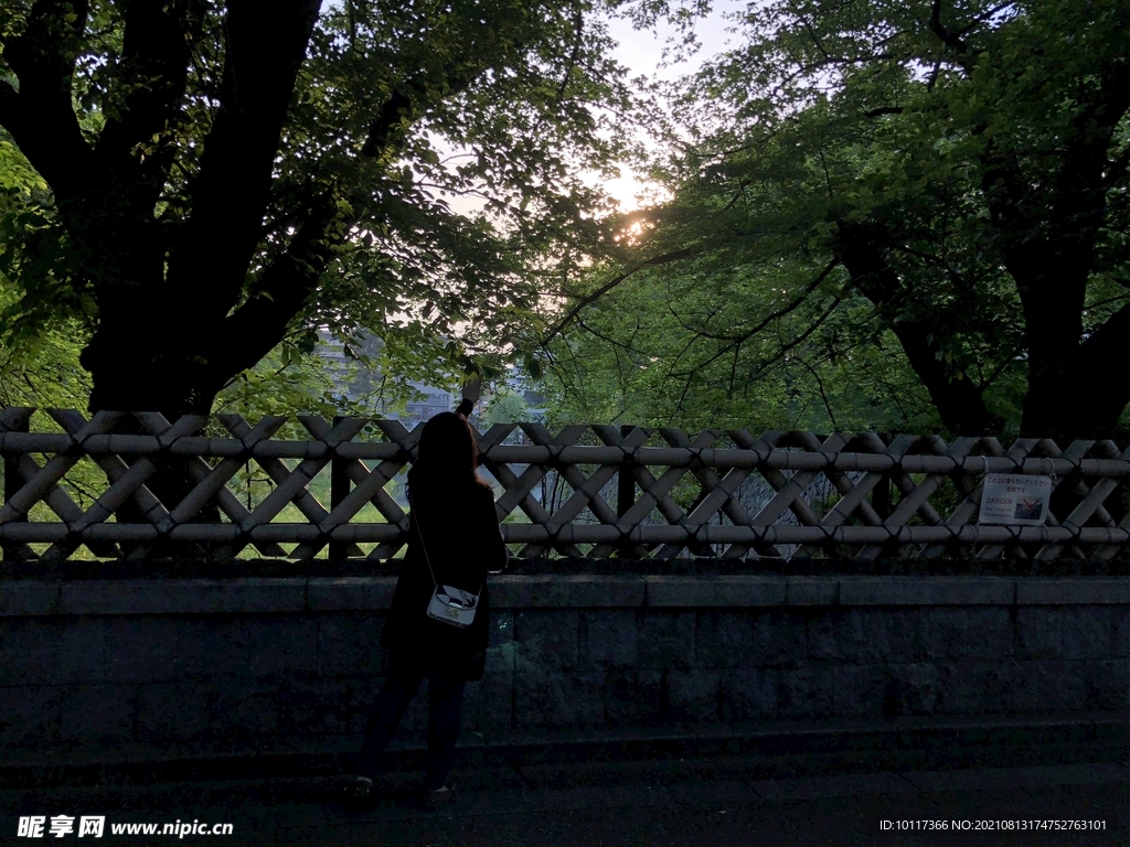 街景日本东京街头风景