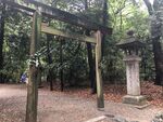 街景日本东京街头风景