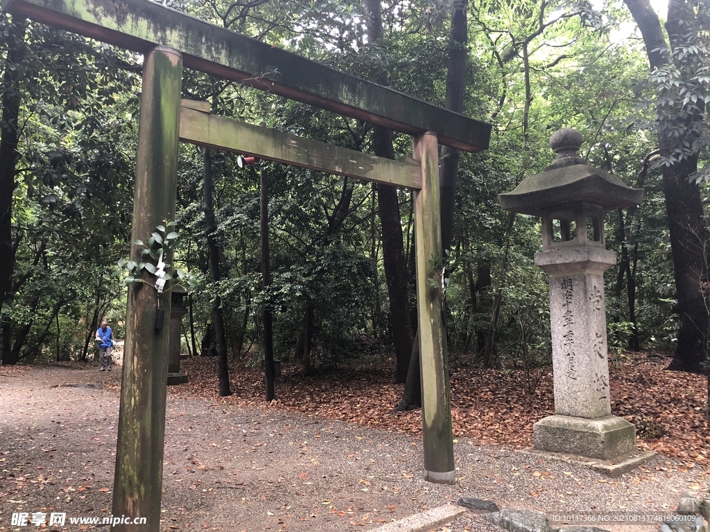 街景日本东京街头风景