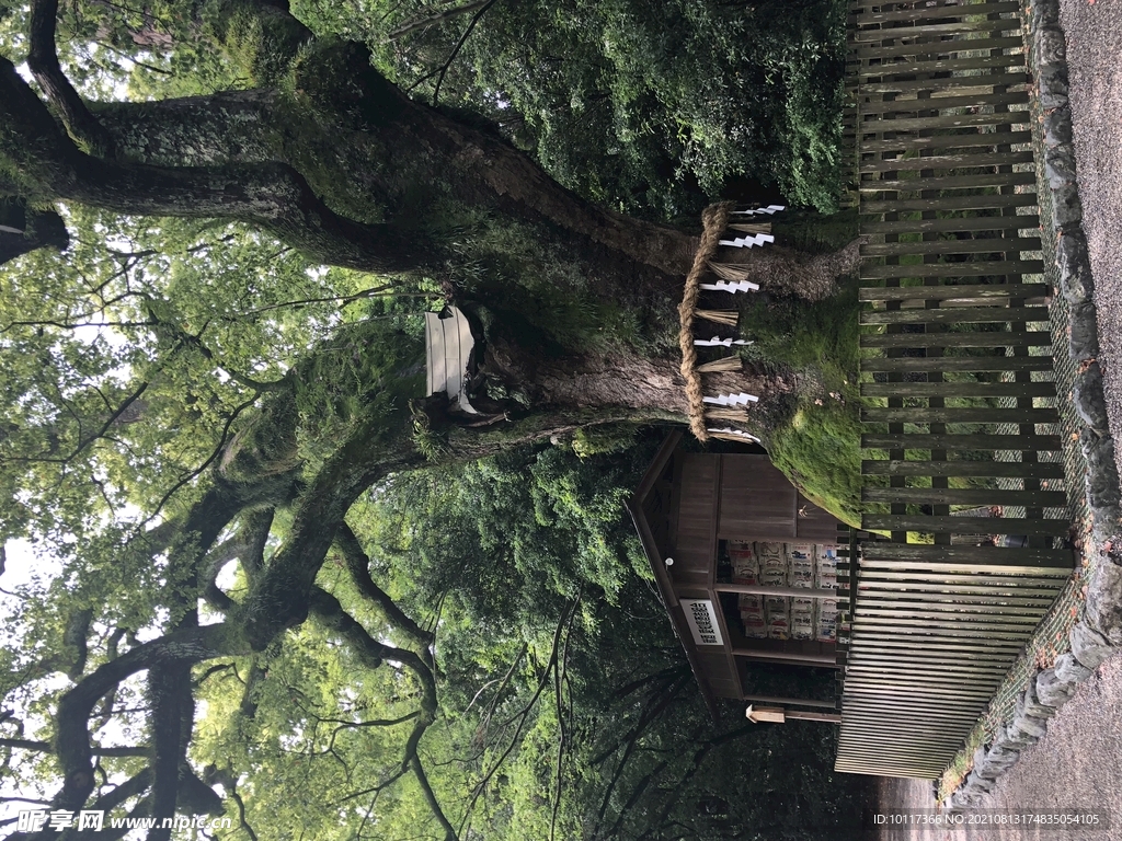 街景日本东京街头风景