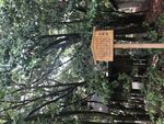 街景日本东京街头风景
