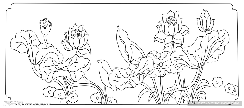 荷花