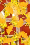 杏树叶子花型设计