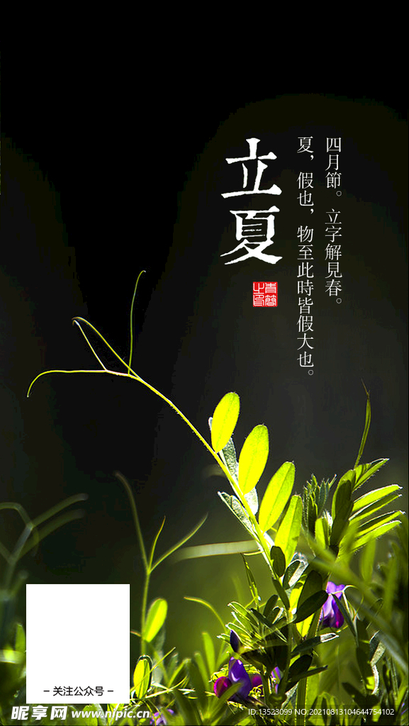 节气海报