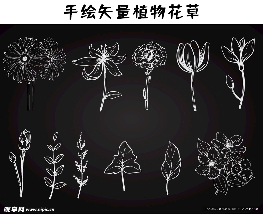 手绘矢量植物花草