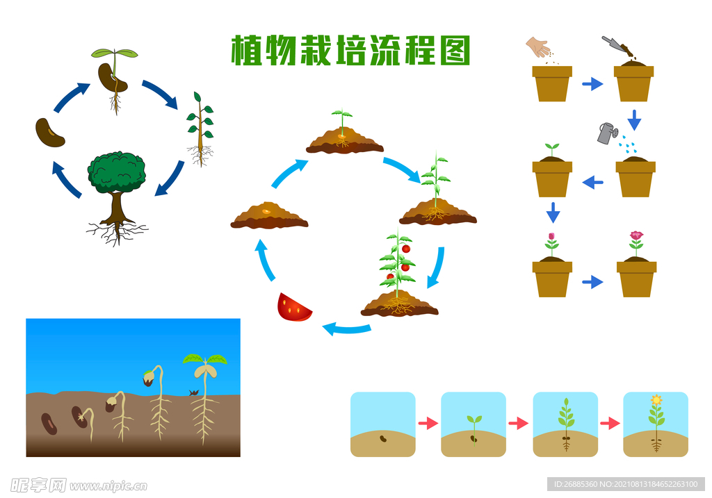 植物种植生长