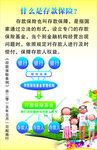 存款保险