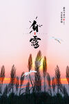 手绘中国传统24节气白露节海报