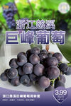 水果 海报