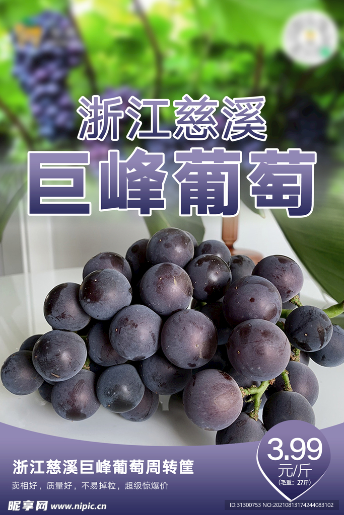 水果 海报