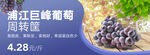 水果banner