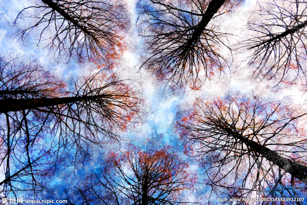 树枝彩色天空插画手绘梦幻背景