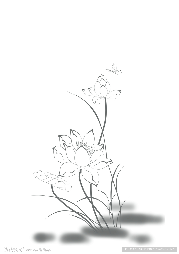 荷花