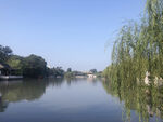 瘦西湖风光