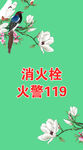 白玉兰