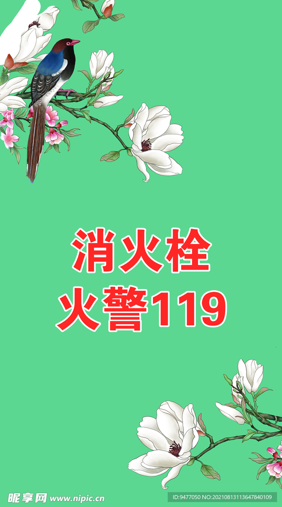 白玉兰