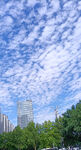 城市白云蓝天朵朵棉花云