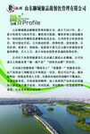 公司文化