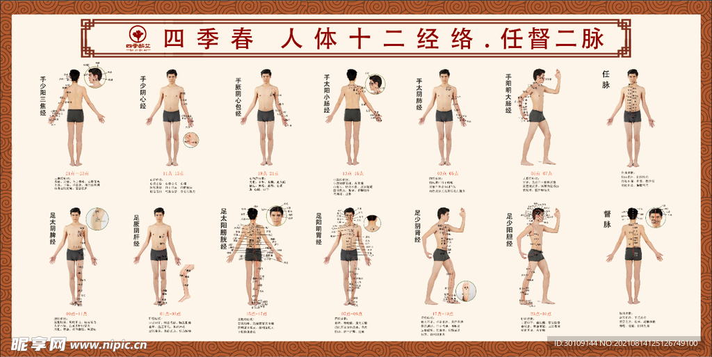 四季蕲艾  十二经络图    