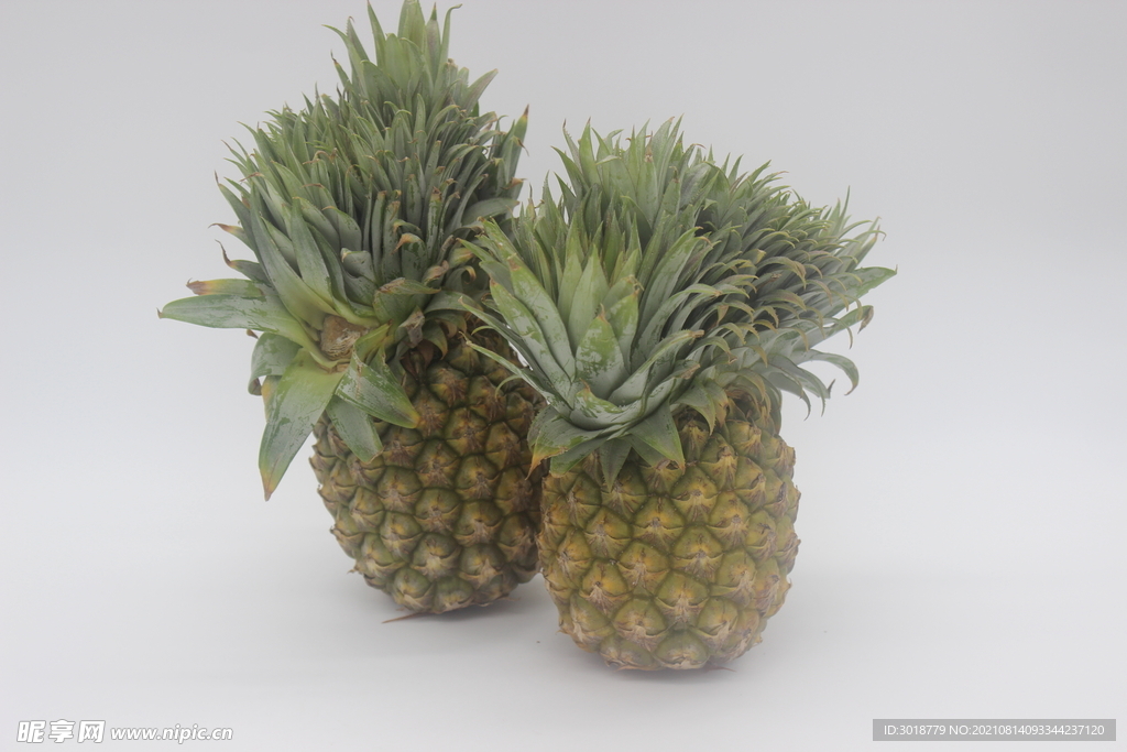 菠萝