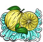 火锅插画