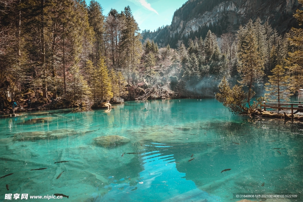 风景