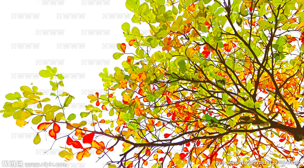 树枝树叶水彩插画场景图