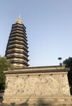 东兰第一丛林