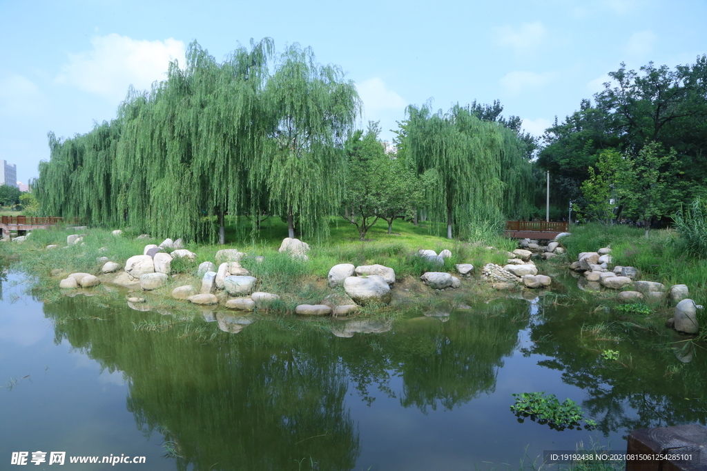 园林风景