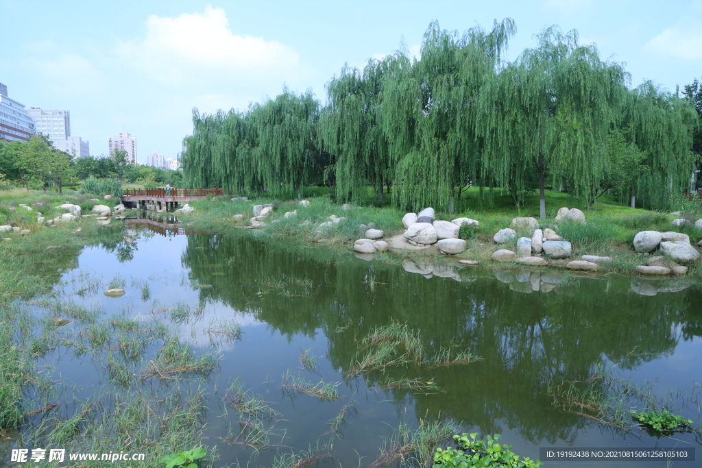 园林风景 