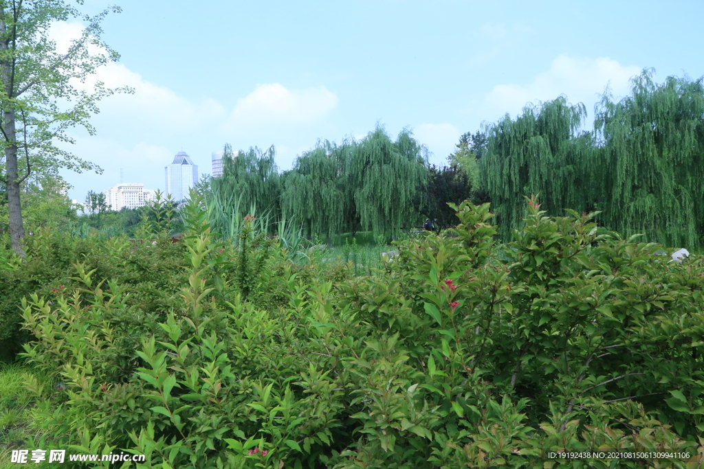 园林风景 