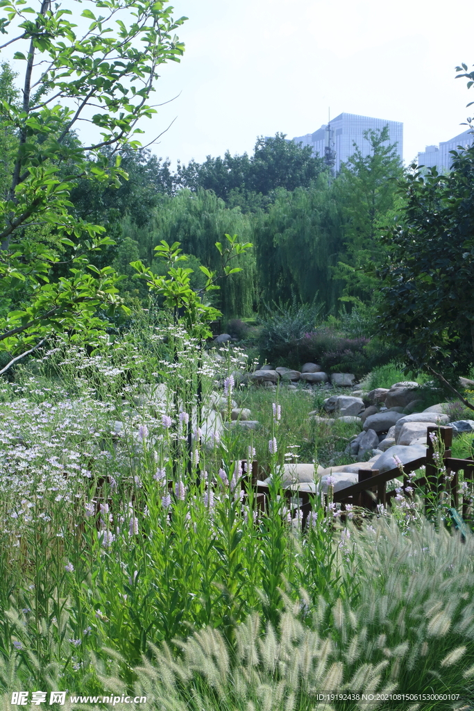 园林风景