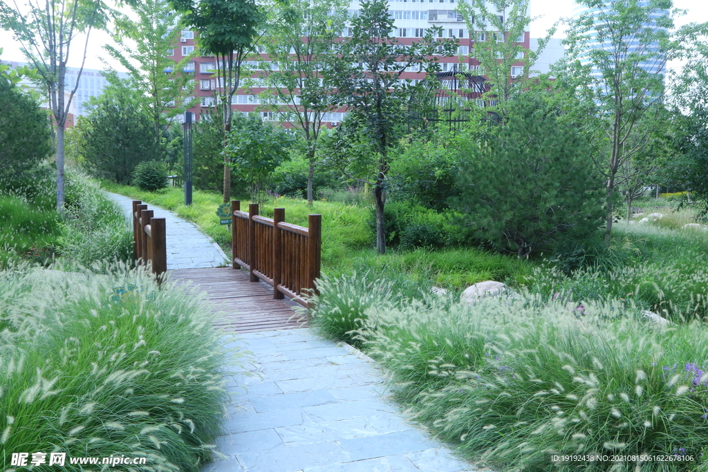 园林风景