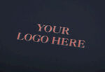 logo标志样机